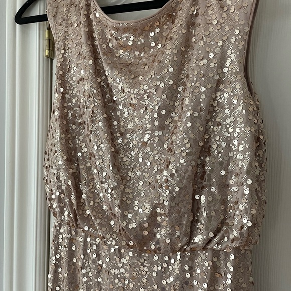 David’s Bridal sequinned champagne colour full length dress - Picture 3 of 4